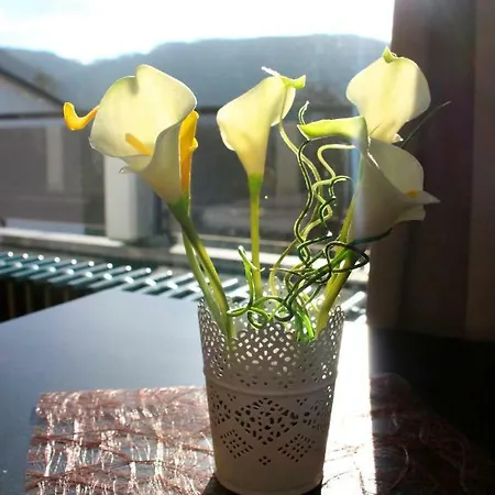 Talblick